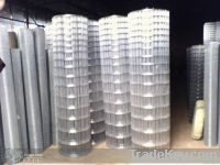 galvanized welded wire mesh