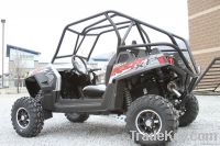 RZR 2 man Roll Cage