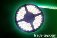 LED hose lamp, strip light, SMD5050, SMD3528