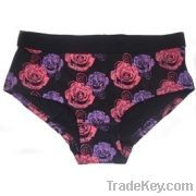 Ladies' Briefs, Ladies' Underwear