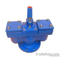 Double Orifice Air Release Valve