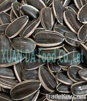 2012 round type sunflower seeds 5135