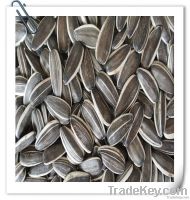 SUNFLOWER SEEDS