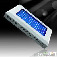 Saltwater Aquarium LED Lighting 120w Fish