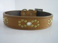 Pet Collar