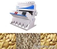Cucumber Seeds Sorting Machine