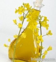 RBD Rapeseed oil