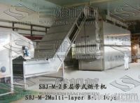 SBJ series belt dryer for vegetables and fruits