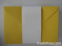 Window Envelope