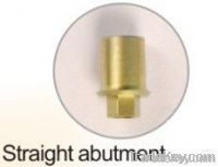 straight abutment for implant