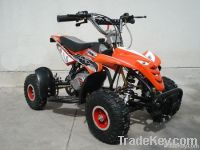 49CC ATV/49CC Mini Quad Bike for Kids (QWMATV-01)