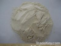 Dehydrated Garlic Powder