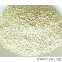 Dehydrated Onion Powder