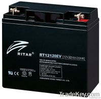 Electric vehicle battery