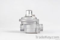 ERG Series Gas Pressure Regulator