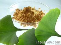 Ginkgo Biloba Leaf Extract