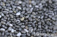 Wholesale Bulk Organic &amp; Conv. Chia Seed &amp; Organic