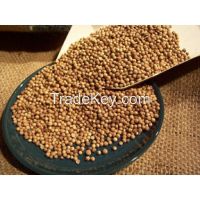 Coriander Seeds