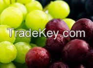 Fresh Grapes