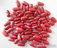 long kidney beans