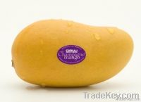 I Am Selling Fresh Mango