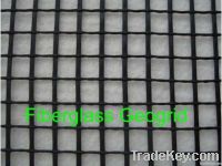 Geogrid