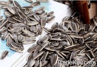 roasted sunflower seeds