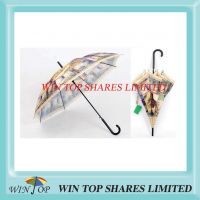 Digital Rotary Printing Steel Auto Straight Umbrella