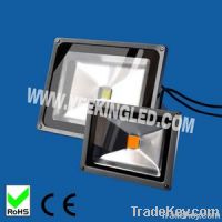 50W  LED  floodlight