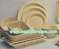 Bagasse disposable tableware