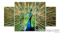 peacock animal canvas print