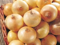 Fresh Yellow Onions