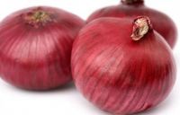 Fresh Red Onion