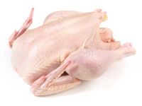 GRADE A HALAL WHOLE FROZEN/FRESH CHICKEN