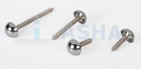 Mirror Screw