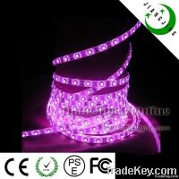 2012 newest waterproof flexible 120leds/m rgb led stip light