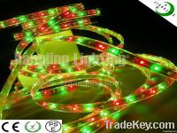 magic color 12V/24V 3528 waterproof RGB 5M/Roll led flexible strip lig