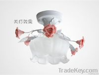 ceiling lamp 9021