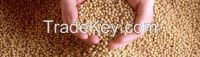 Soybean Meal Alfafa Hay Corn Gluten Meal Wheat Bran Rice Bran Fish Mea