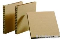 Corrugated Medium/ Corrugated paper