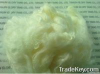 Milk Fiber