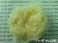 Soybean Protein Fiber