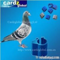 RFID ANIMAL TAG FOR PIGEON AND CHICKEN/DUCK