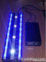 Dimmable 3W High Power LED Aquarium Lights