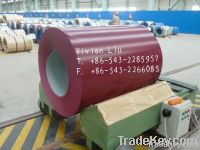 Color coated steel coil PPGI