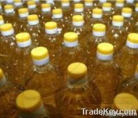 Sunflower Oil