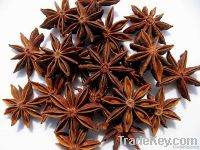 Star Aniseed