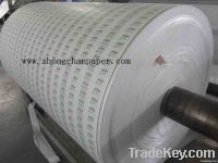 PE coated paper