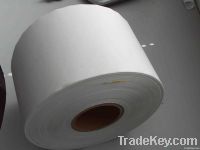 PE coated non-woven paper