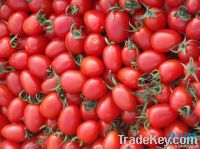 cherry tomato